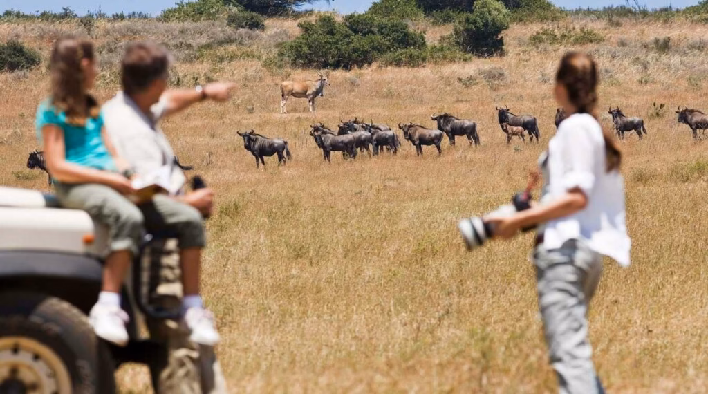 Kruger Park viert 100 jaar bescherming van wilde dieren
