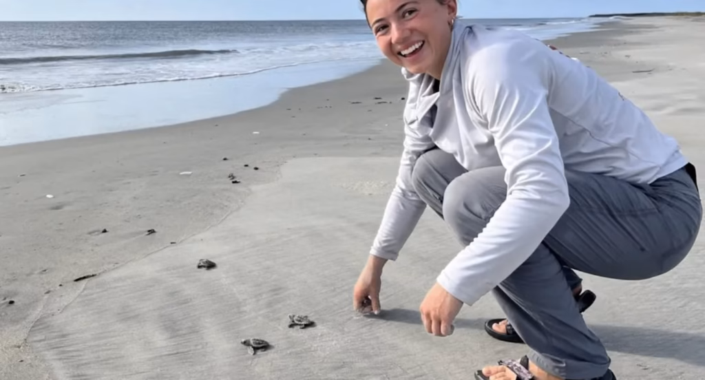 Zeeschildpadden leggen meer eieren dan in 37 jaar