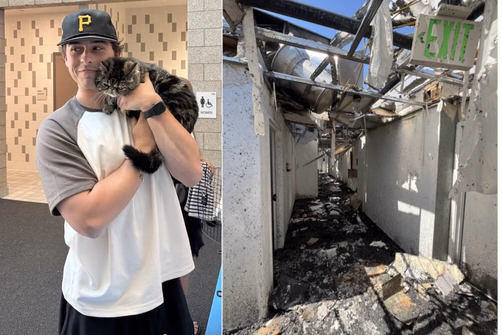Poes Toast overleeft grote brand in kast