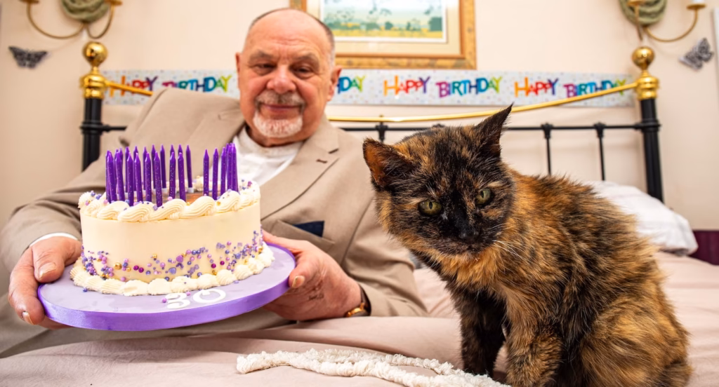 Een kat van 31 jaar oud!